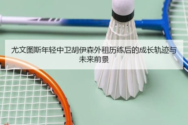 尤文图斯年轻中卫胡伊森外租历练后的成长轨迹与未来前景 - pg
