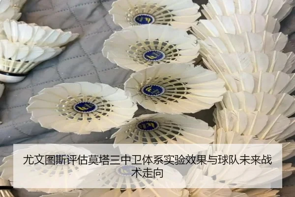 尤文图斯评估莫塔三中卫体系实验效果与球队未来战术走向（pg）